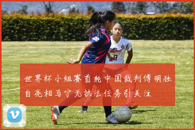 世界杯小组赛首轮中国裁判傅明独自亮相马宁无执法任务引关注